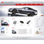汽車(chē)電子公司網(wǎng)站